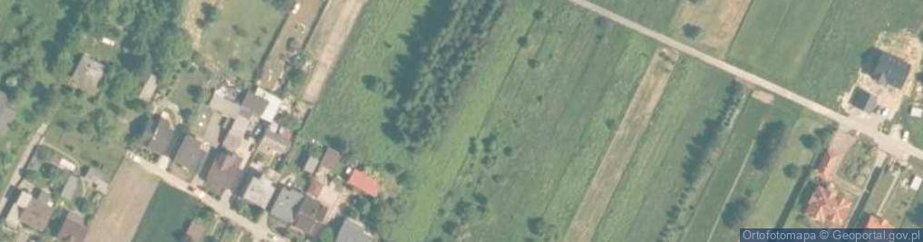 Zdjęcie satelitarne Bolesław (powiat olkuski)