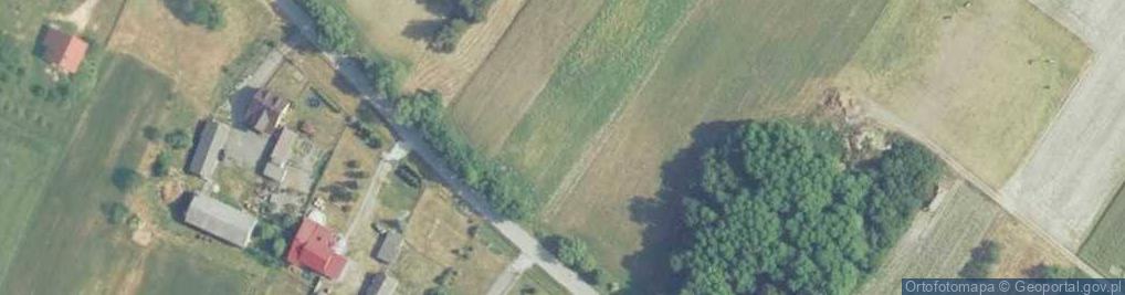 Zdjęcie satelitarne Borów (województwo świętokrzyskie)