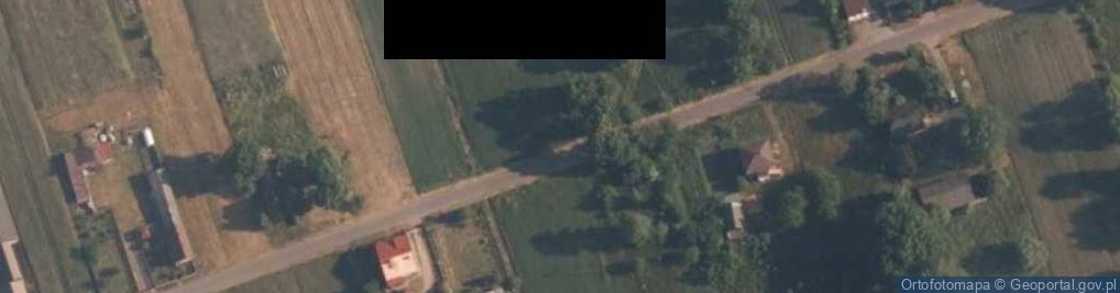 Zdjęcie satelitarne Borowa (gmina Dobryszyce)