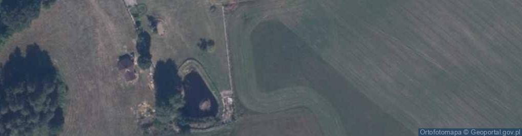 Zdjęcie satelitarne Borzęcino (gmina Biały Bór)