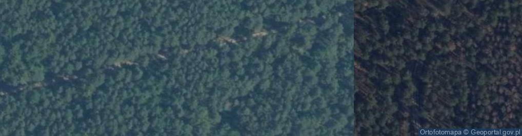 Zdjęcie satelitarne Bożejewko