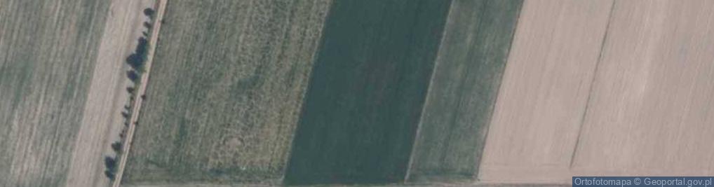 Zdjęcie satelitarne Brzezienko