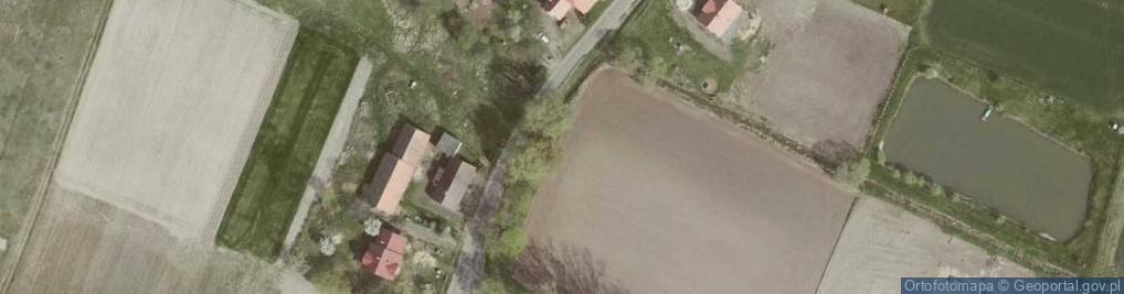 Zdjęcie satelitarne Brzezina (powiat oleśnicki)