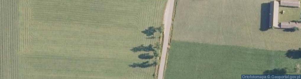 Zdjęcie satelitarne Brzostowo (województwo podlaskie)