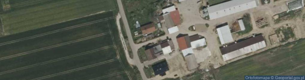 Zdjęcie satelitarne Buczek (województwo opolskie)