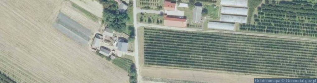 Zdjęcie satelitarne Buczek (województwo świętokrzyskie)