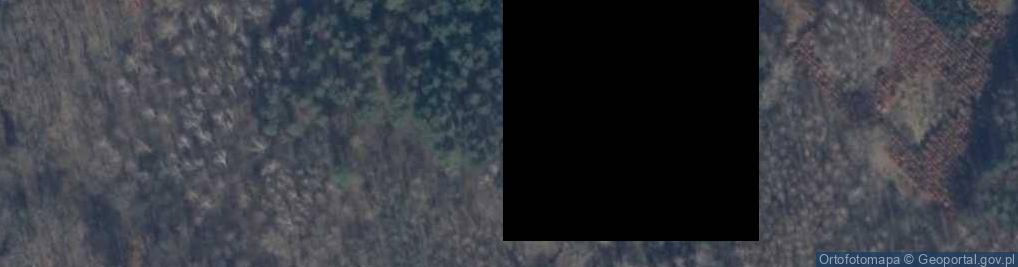 Zdjęcie satelitarne Buczyna (województwo zachodniopomorskie)