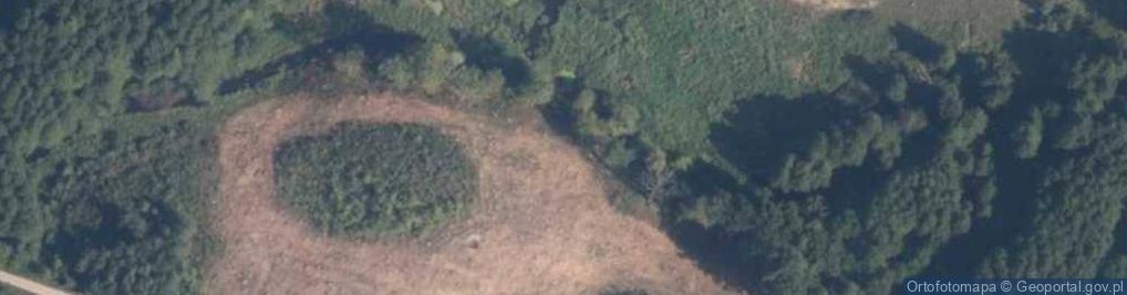 Zdjęcie satelitarne Bukowski Młyn