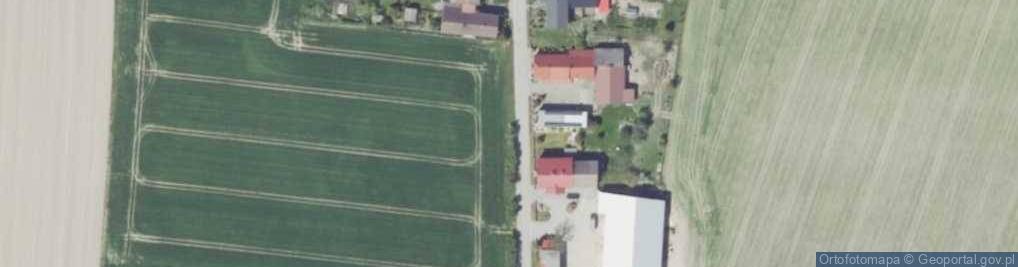 Zdjęcie satelitarne Buława (województwo opolskie)