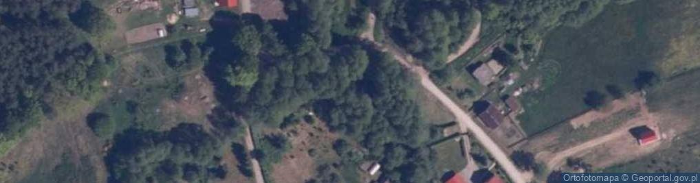 Zdjęcie satelitarne Buszyno