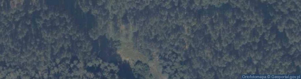 Zdjęcie satelitarne Byczyna (województwo pomorskie)