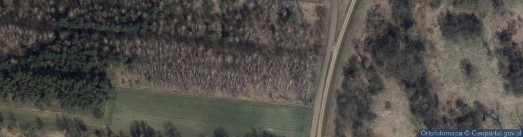 Zdjęcie satelitarne Chałupki (powiat sieradzki)