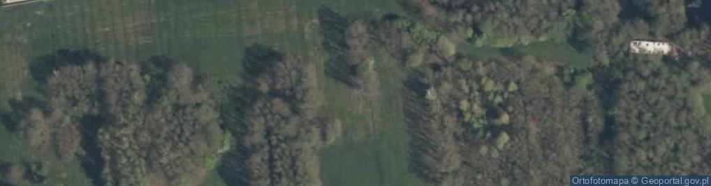 Zdjęcie satelitarne Chechło Pierwsze