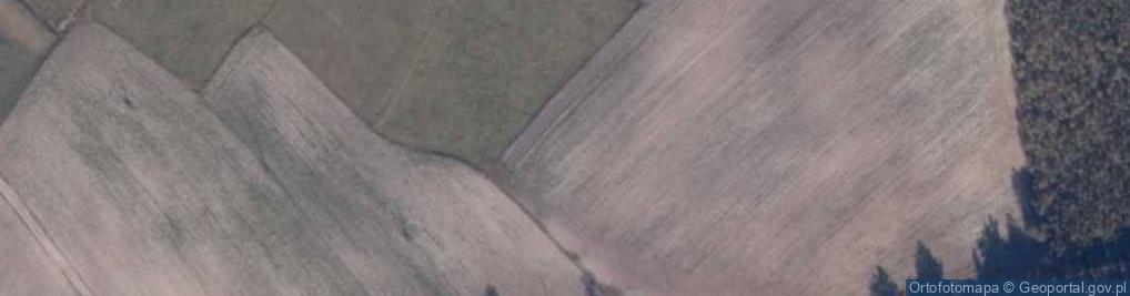 Zdjęcie satelitarne Chiny (województwo pomorskie)