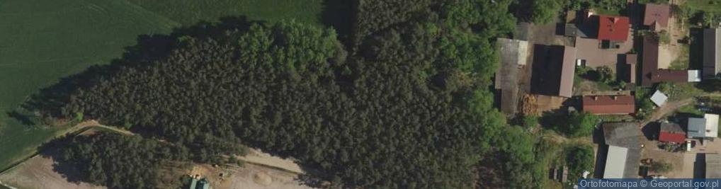 Zdjęcie satelitarne Chójki (gmina Krzymów)