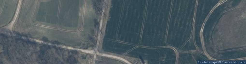Zdjęcie satelitarne Chotyń