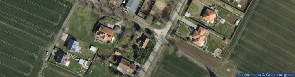 Zdjęcie satelitarne Cisy (powiat malborski)