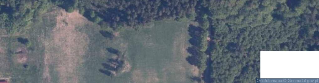 Zdjęcie satelitarne Czarnolas (województwo zachodniopomorskie)