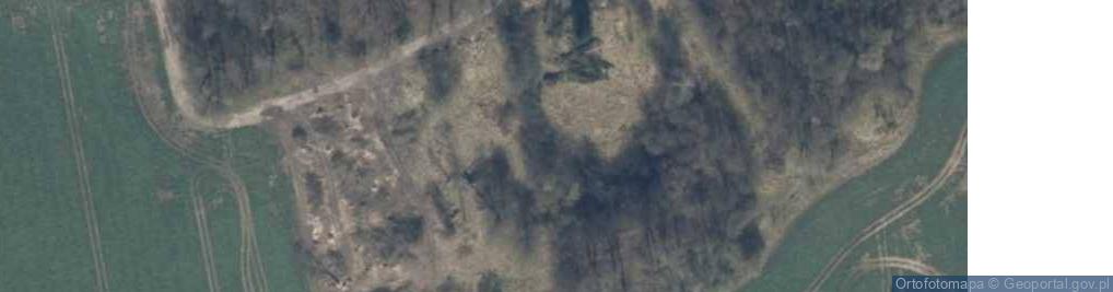 Zdjęcie satelitarne Czarnolesie (województwo zachodniopomorskie)