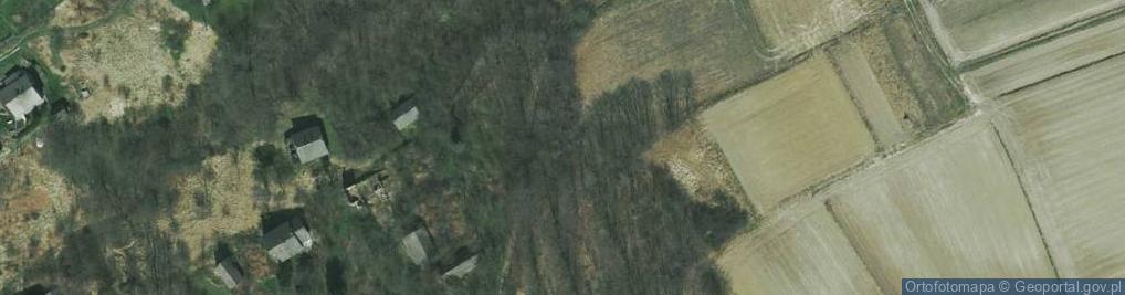 Zdjęcie satelitarne Czerna (powiat krakowski)