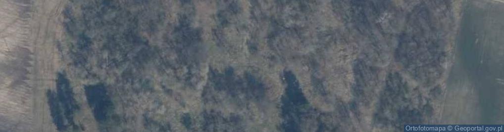 Zdjęcie satelitarne Czerwięcino