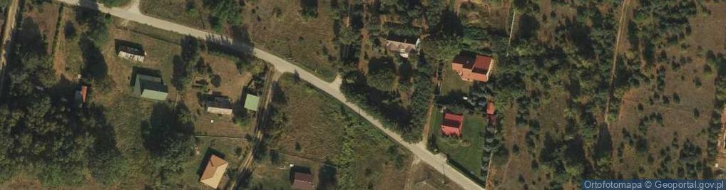 Zdjęcie satelitarne Dąb Polski
