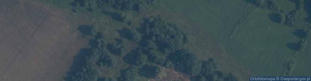 Zdjęcie satelitarne Dąbrówka-Młyn