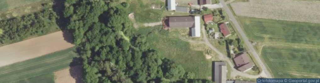 Zdjęcie satelitarne Dankowice Trzecie