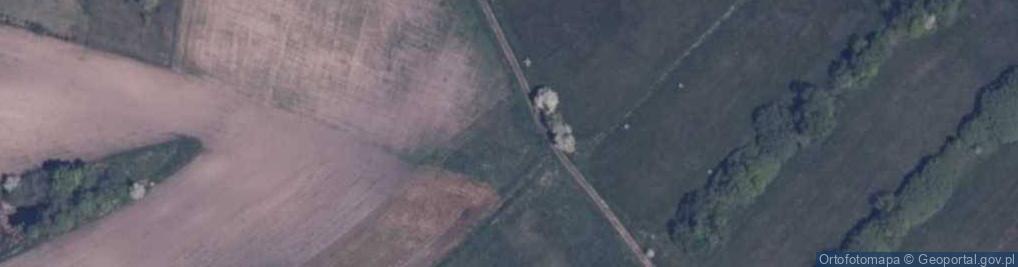 Zdjęcie satelitarne Dębrzyna (województwo zachodniopomorskie)