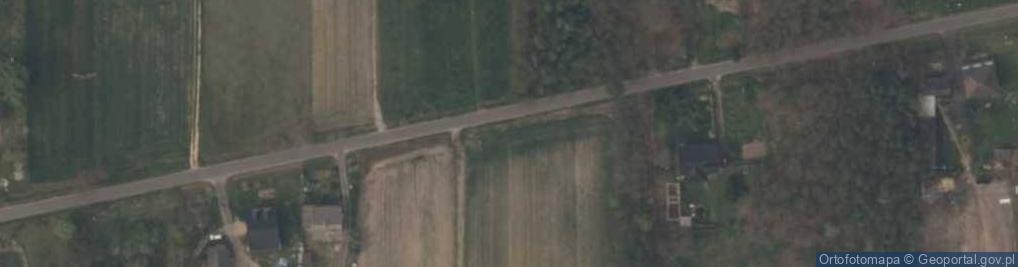 Zdjęcie satelitarne Dęby Wolskie-Kolonia