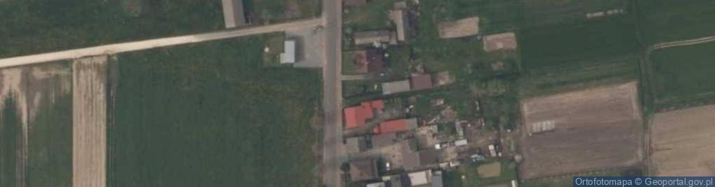 Zdjęcie satelitarne Dęby Wolskie