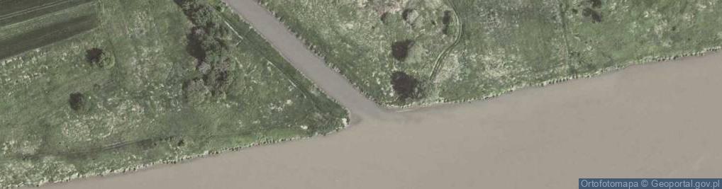 Zdjęcie satelitarne Dłubnia (rzeka)