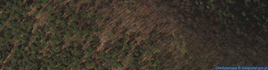 Zdjęcie satelitarne Długa Góra