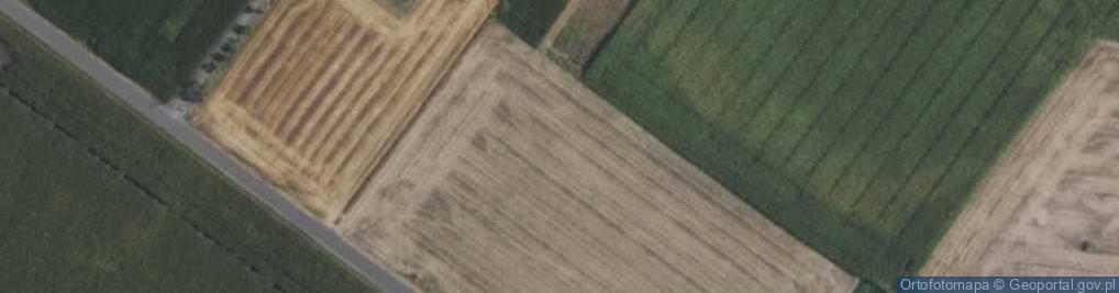 Zdjęcie satelitarne Dobroczyn Pierwszy