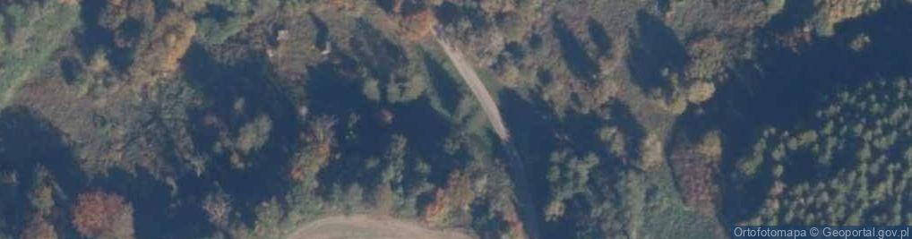 Zdjęcie satelitarne Dobrzyń (województwo pomorskie)