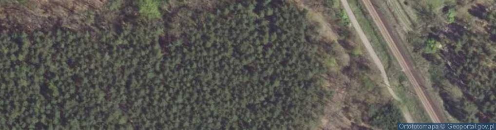 Zdjęcie satelitarne Doły (województwo śląskie)