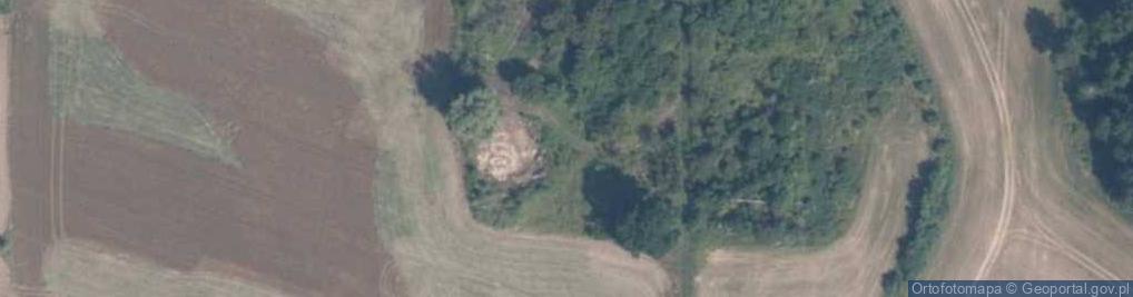 Zdjęcie satelitarne Duninowo-Kolonia