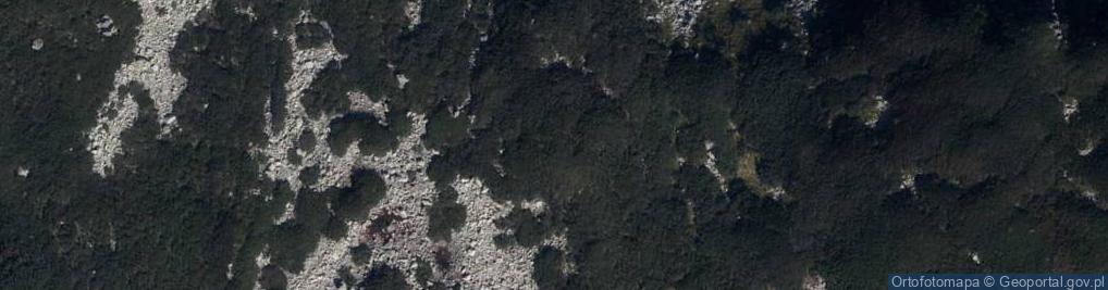 Zdjęcie satelitarne Dwoisty Staw Gąsienicowy