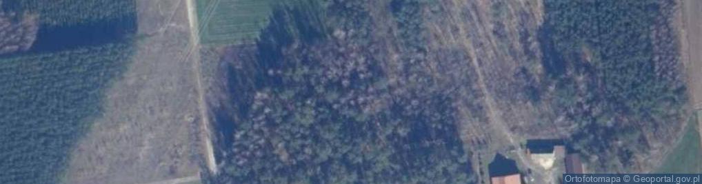 Zdjęcie satelitarne Dwór w Jarczewie
