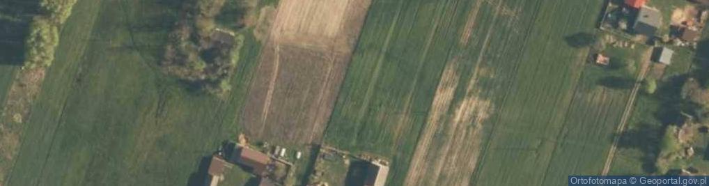 Zdjęcie satelitarne Ewelinów (województwo łódzkie)
