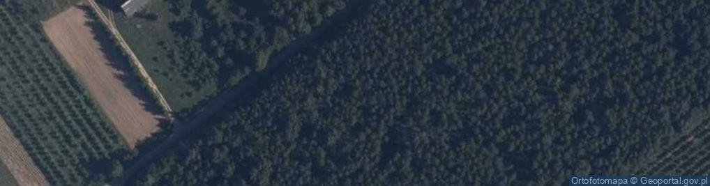 Zdjęcie satelitarne Falęcice-Parcela