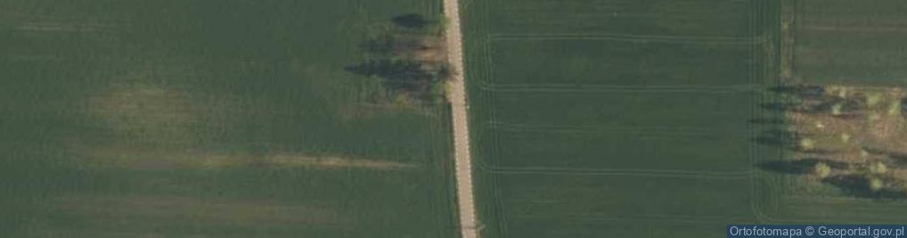 Zdjęcie satelitarne Florentynów (powiat zgierski)