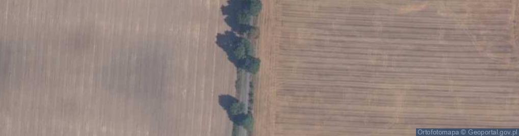 Zdjęcie satelitarne Gajek
