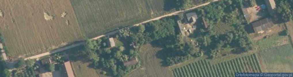 Zdjęcie satelitarne Głogowiec (powiat poddębicki)