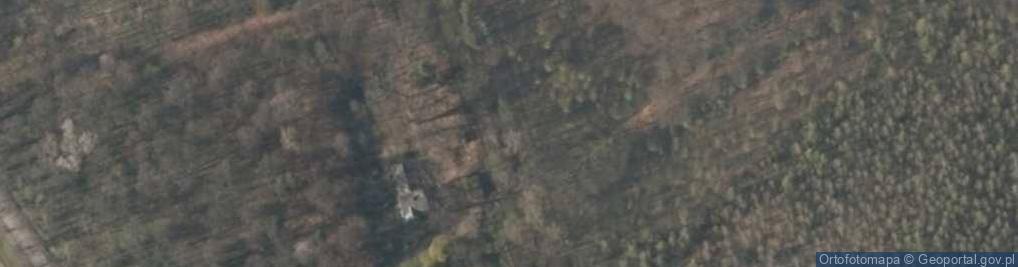 Zdjęcie satelitarne Głubczyce Las