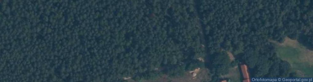 Zdjęcie satelitarne Głuchy Bór