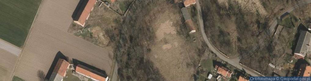 Zdjęcie satelitarne Gniewomirowice