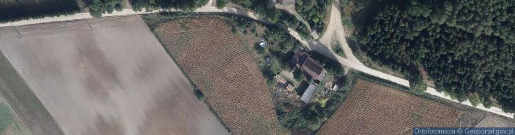 Zdjęcie satelitarne Godziszka (województwo kujawsko-pomorskie)