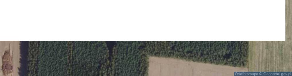 Zdjęcie satelitarne Goleszczyzna
