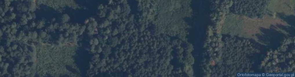 Zdjęcie satelitarne Górka Klasztorna